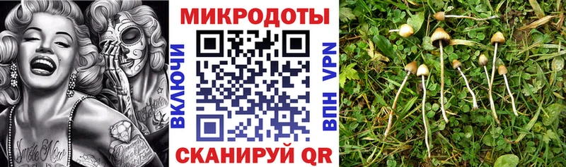 Псилоцибиновые грибы Magic Shrooms  Краснослободск 